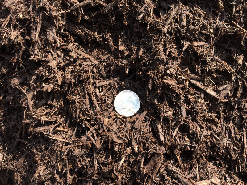Chocolate Mulch