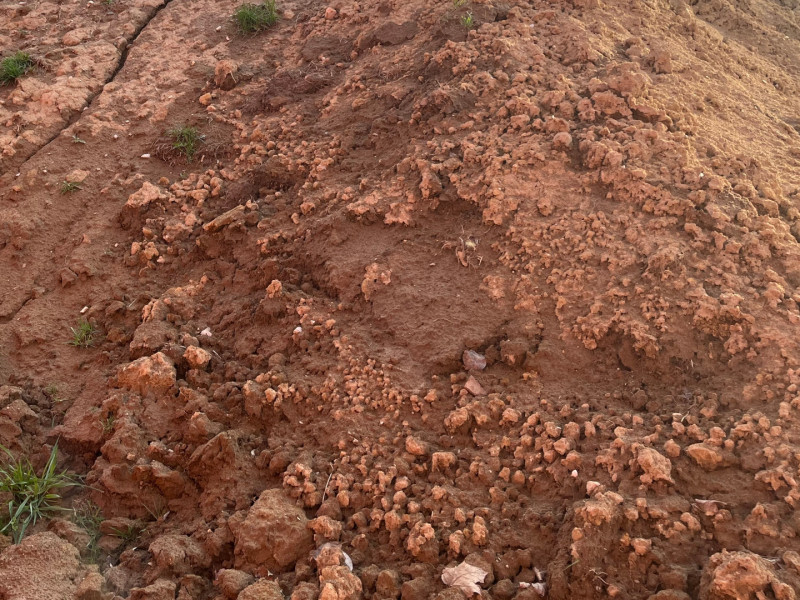 Topsoil